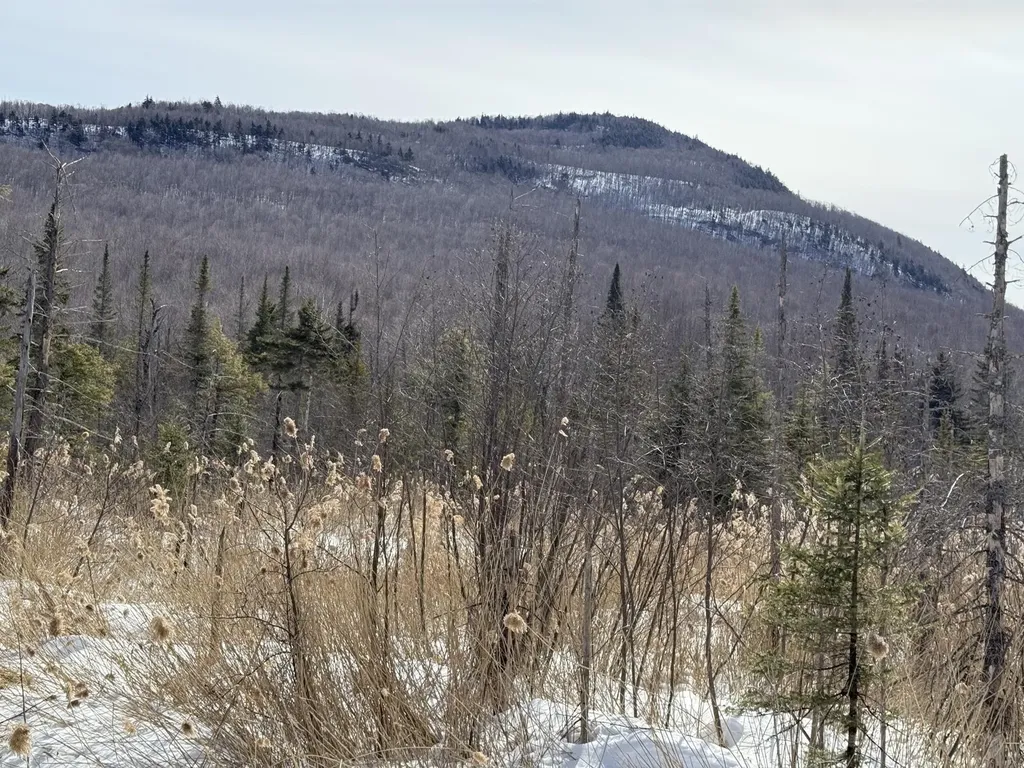 0 Mines Road Lowell VT 05847