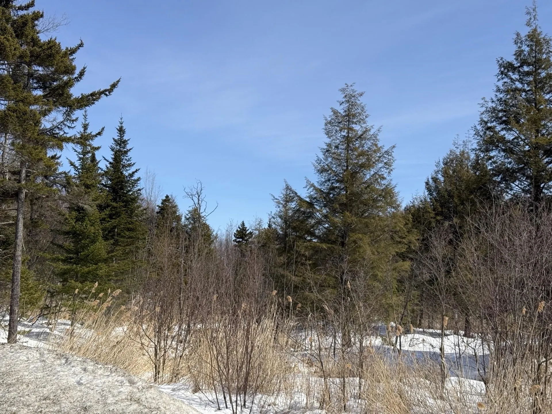 0 Mines Road Lowell VT 05847