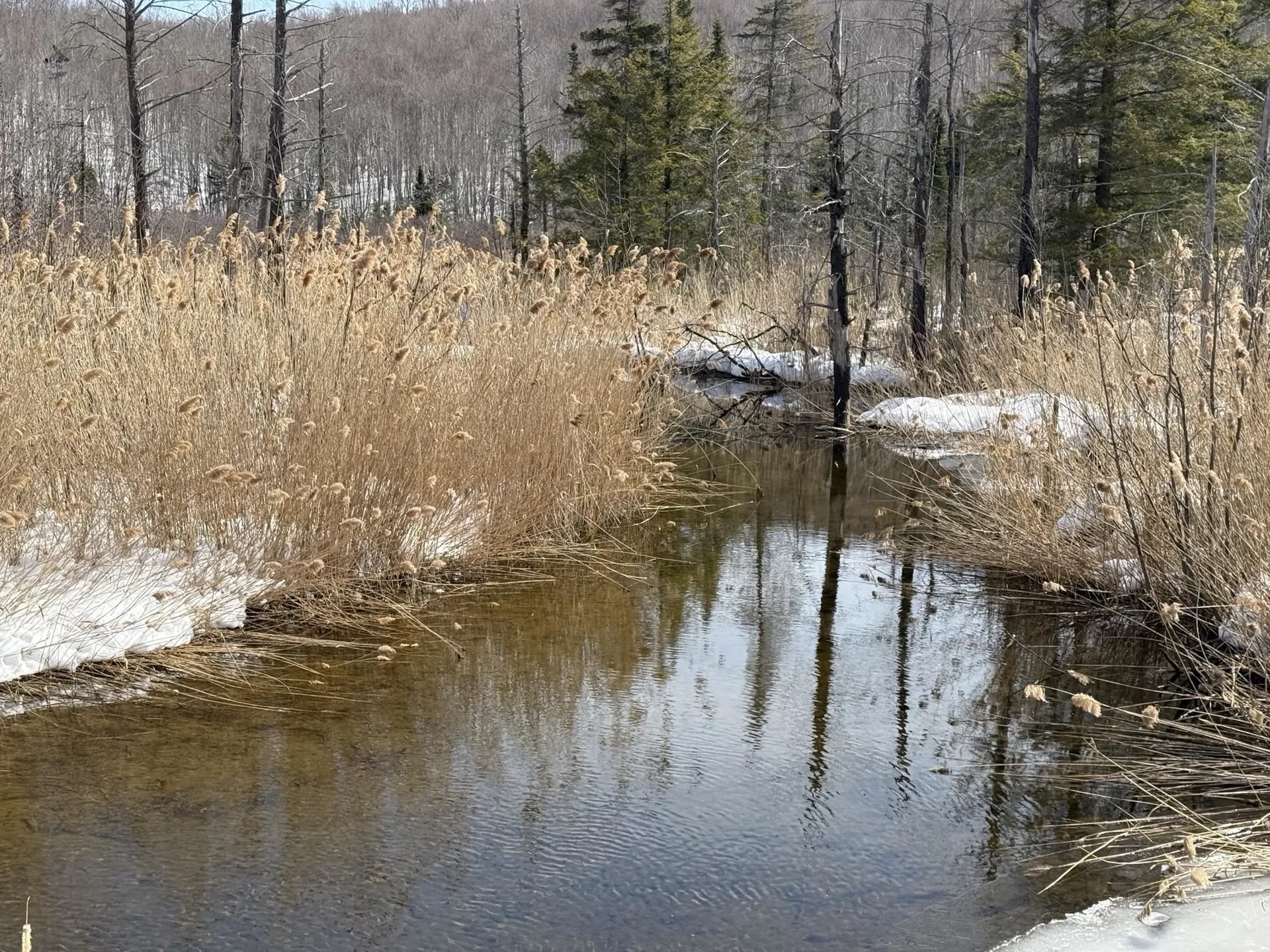 0 Mines Road Lowell VT 05847