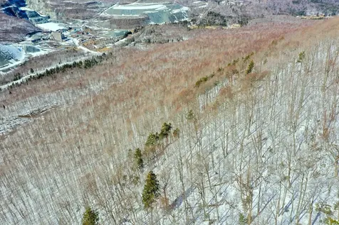 0 Mines Road Lowell VT 05847