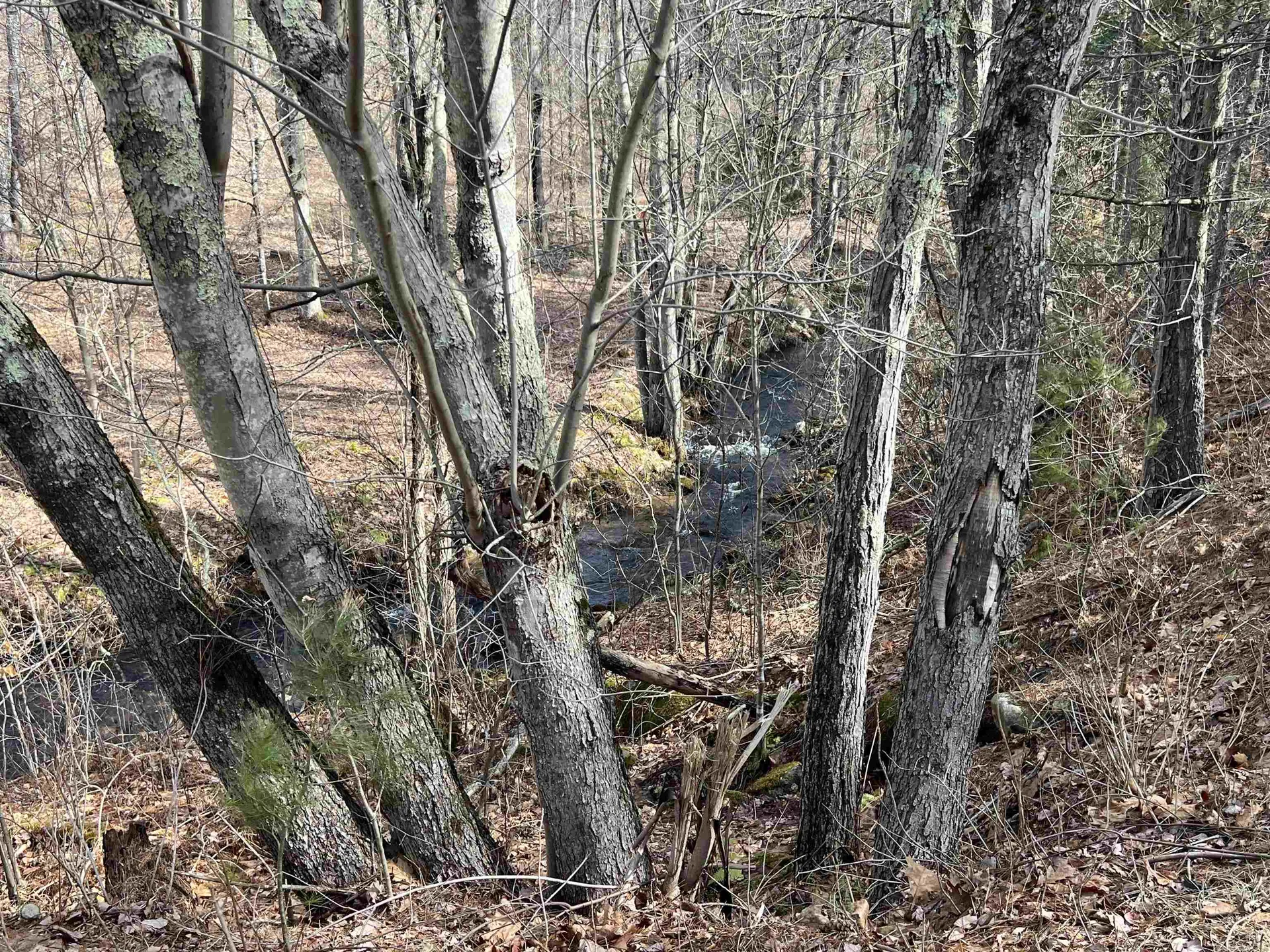 7 Lake Shore Drive Winchester NH 03470