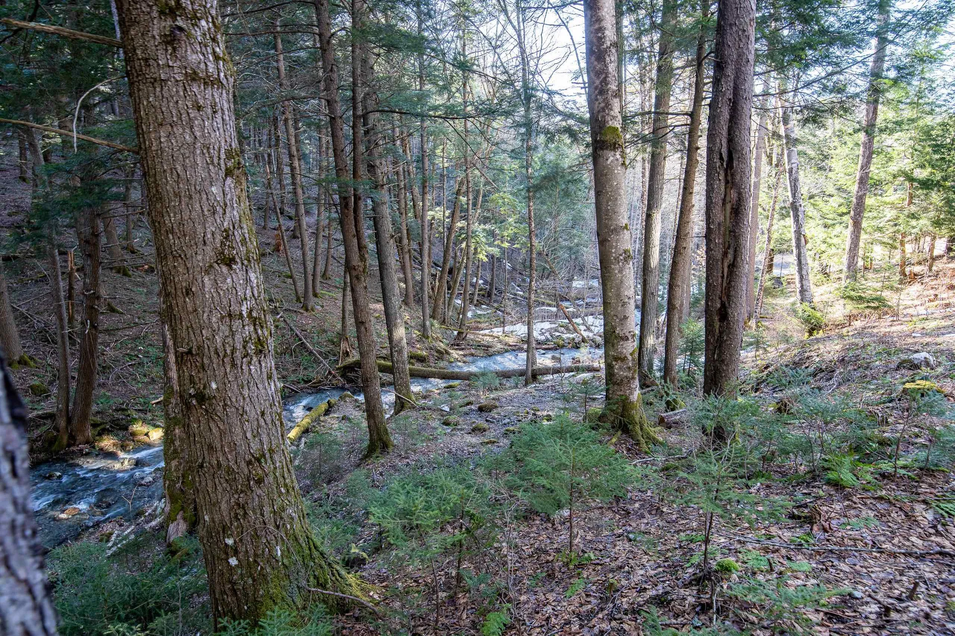 166 Tweed River Drive Stockbridge VT 05772