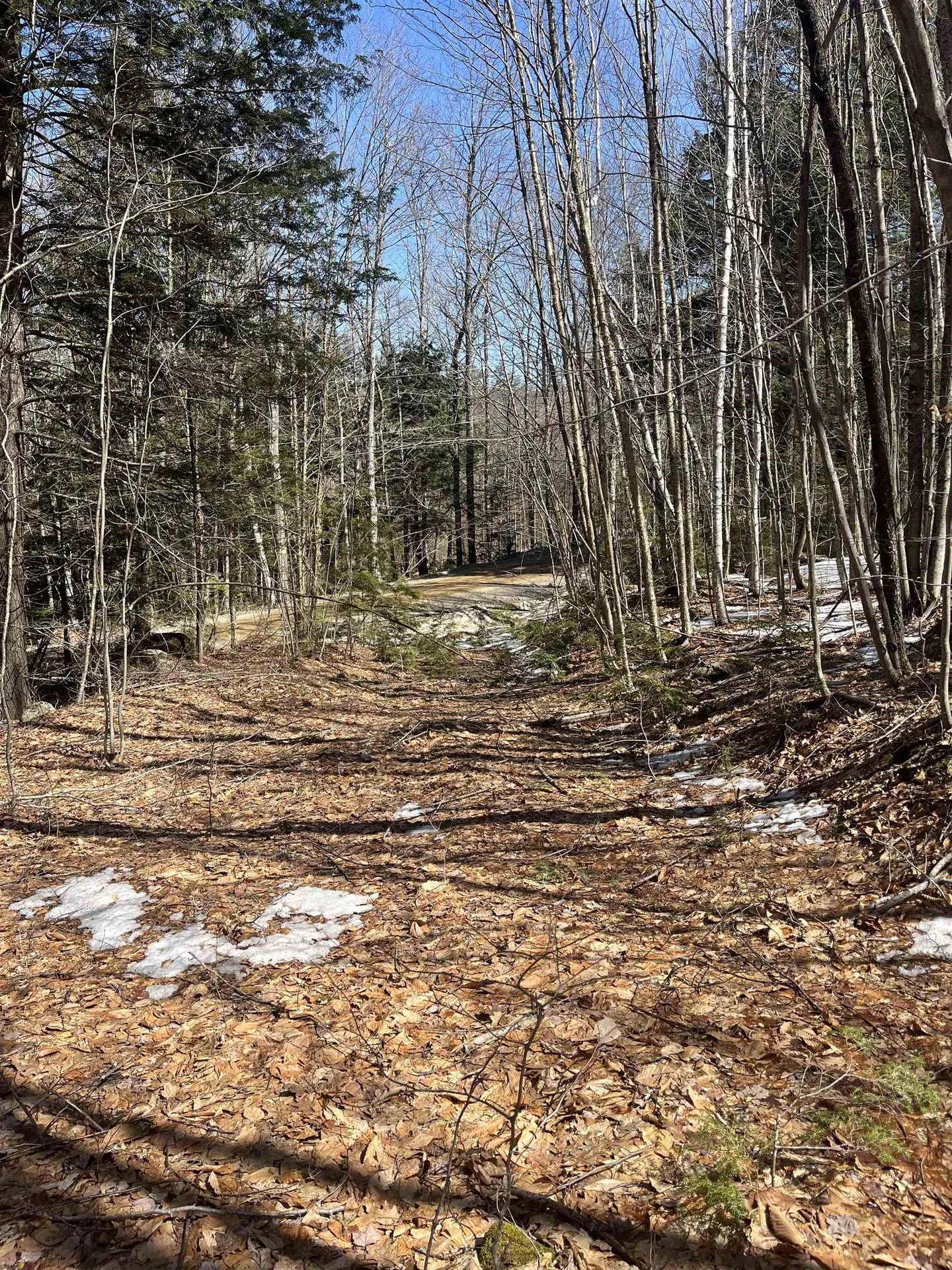 Lot 178 Map 20, Dole School House Road Washington NH 03280