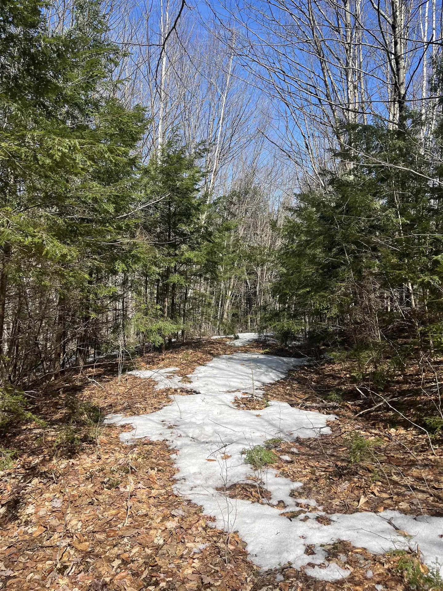 Lot 178 Map 20, Dole School House Road Washington NH 03280