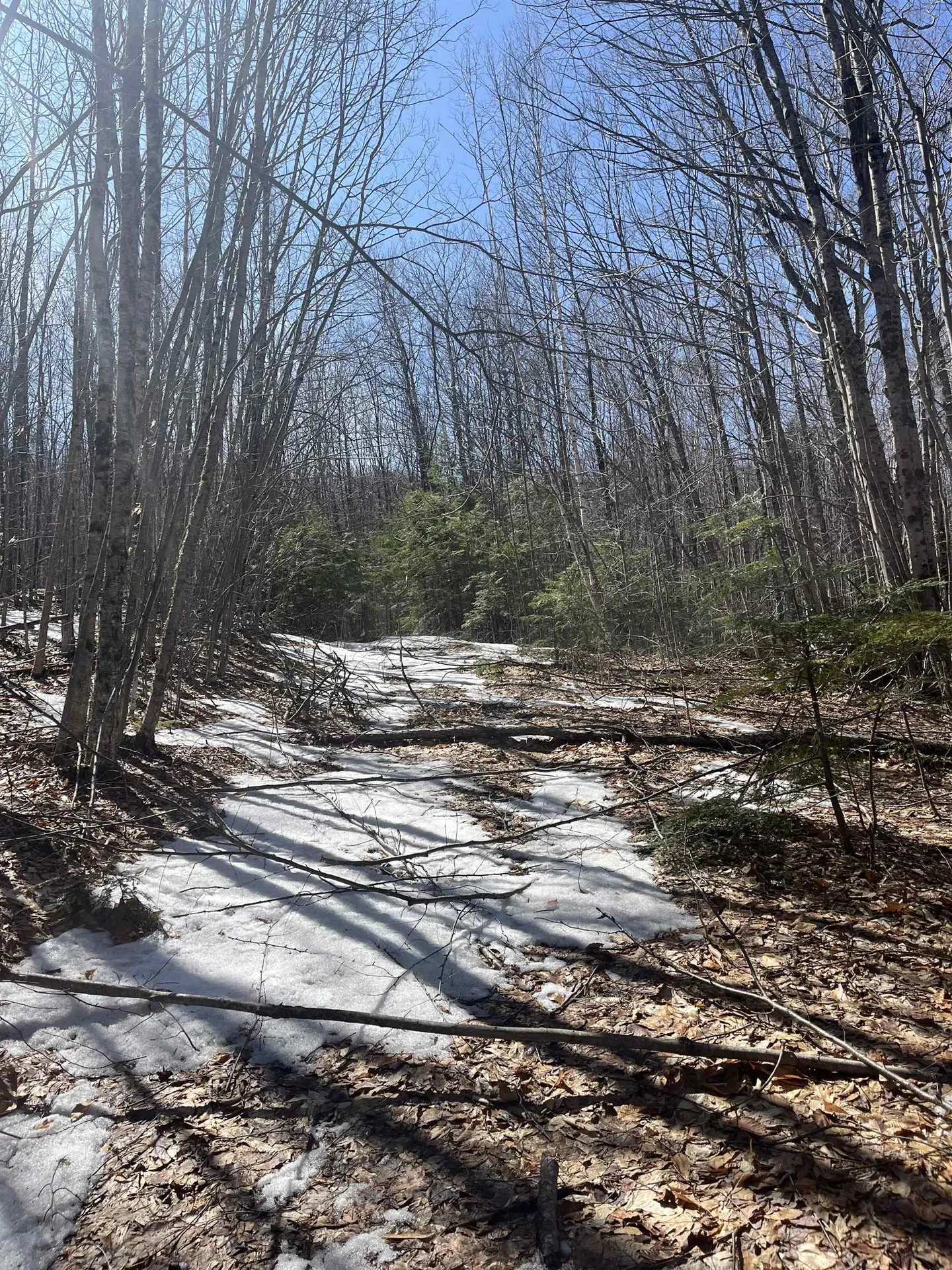 Lot 178 Map 20, Dole School House Road Washington NH 03280