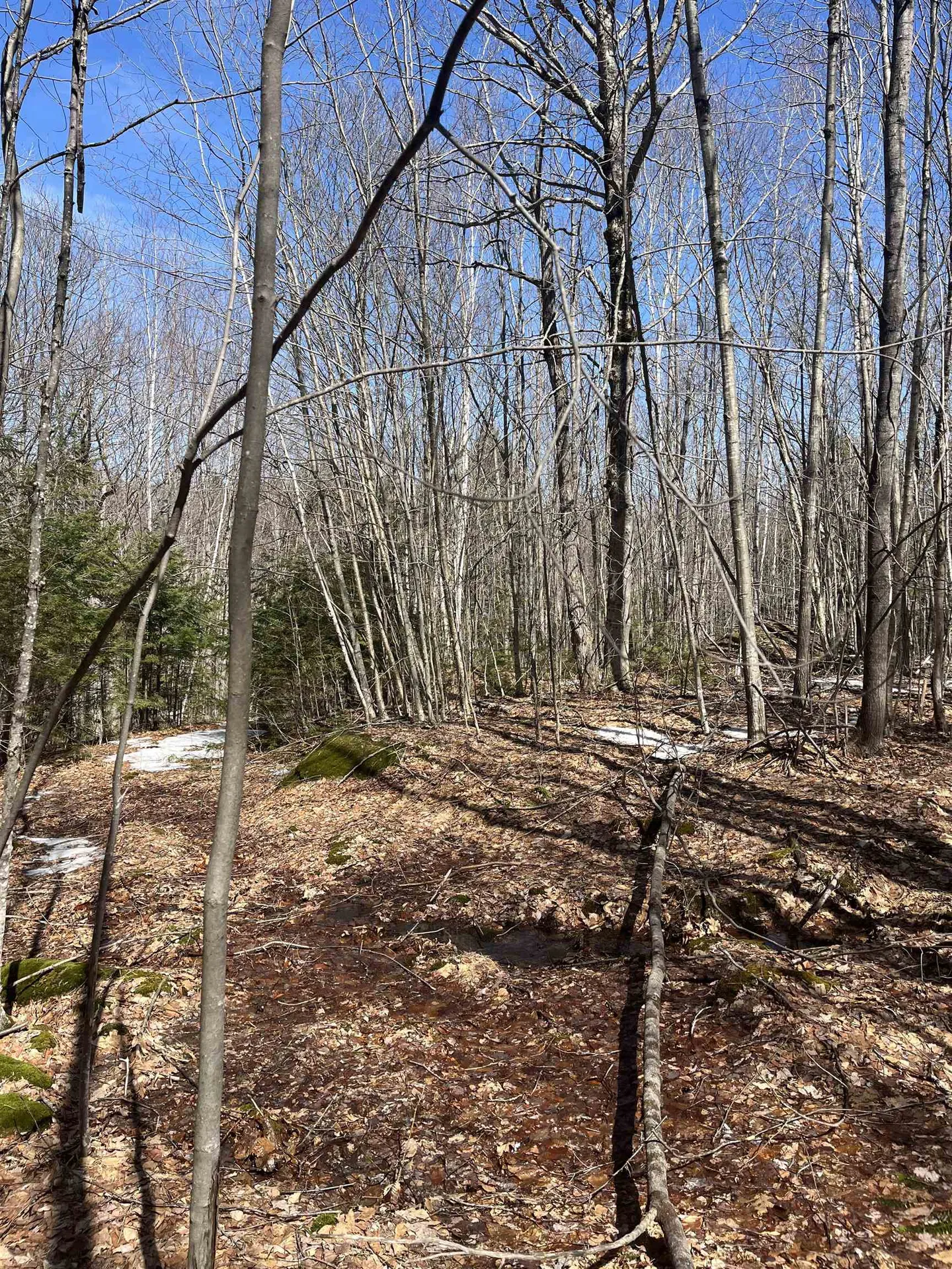 Lot 178 Map 20, Dole School House Road Washington NH 03280