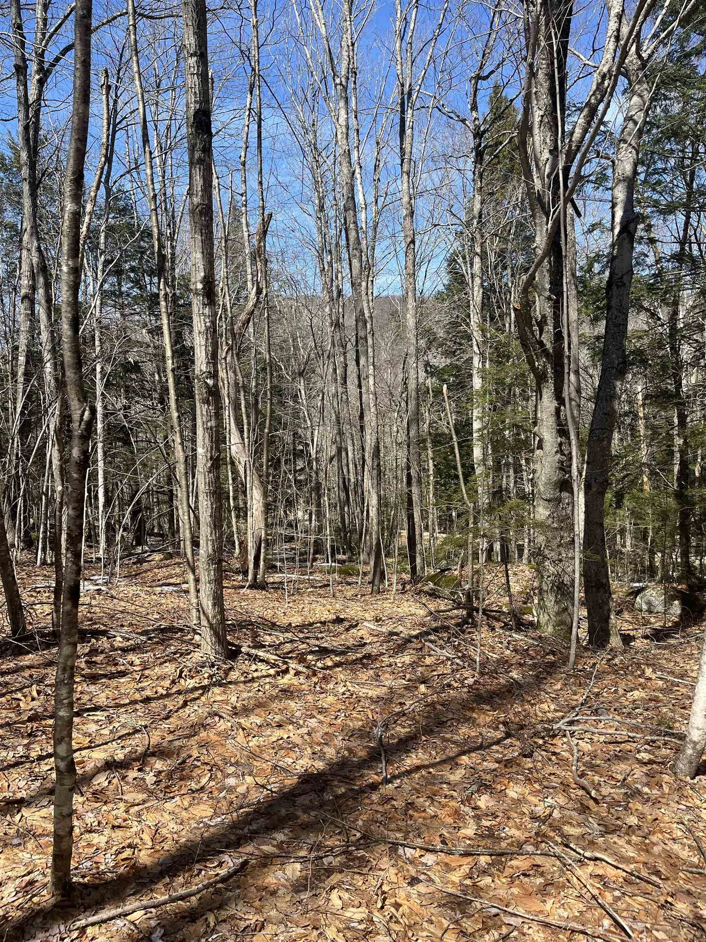 Lot 178 Map 20, Dole School House Road Washington NH 03280