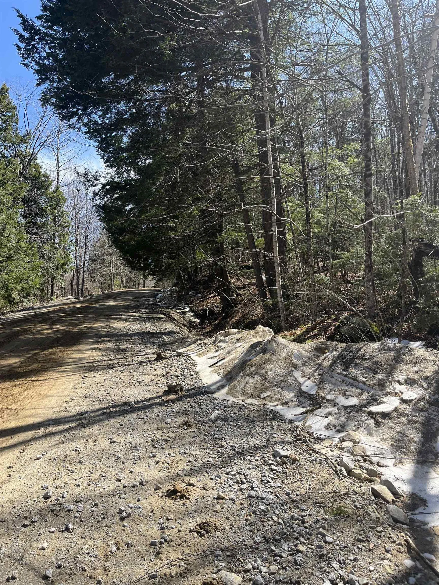 Lot 178 Map 20, Dole School House Road Washington NH 03280