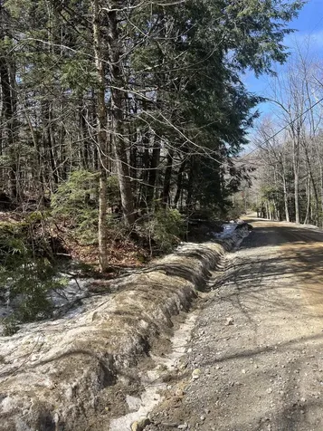 Lot 178 Map 20, Dole School House Road Washington NH 03280