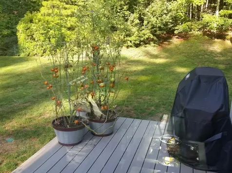 51 Hannah Drive Hollis NH 03049
