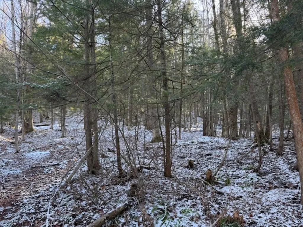 0 Cedar Street Barre Town VT 05641