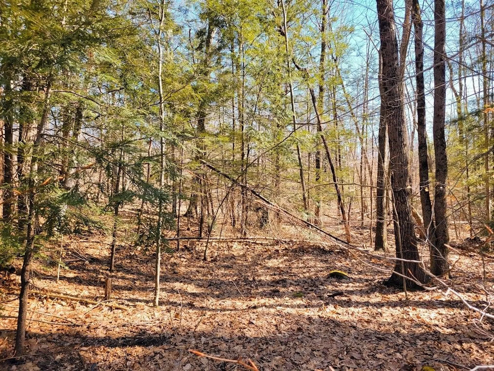 61 Canterbury Shore Drive Canterbury NH 03224