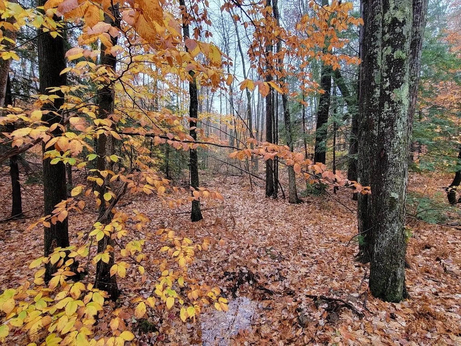 61 Canterbury Shore Drive Canterbury NH 03224