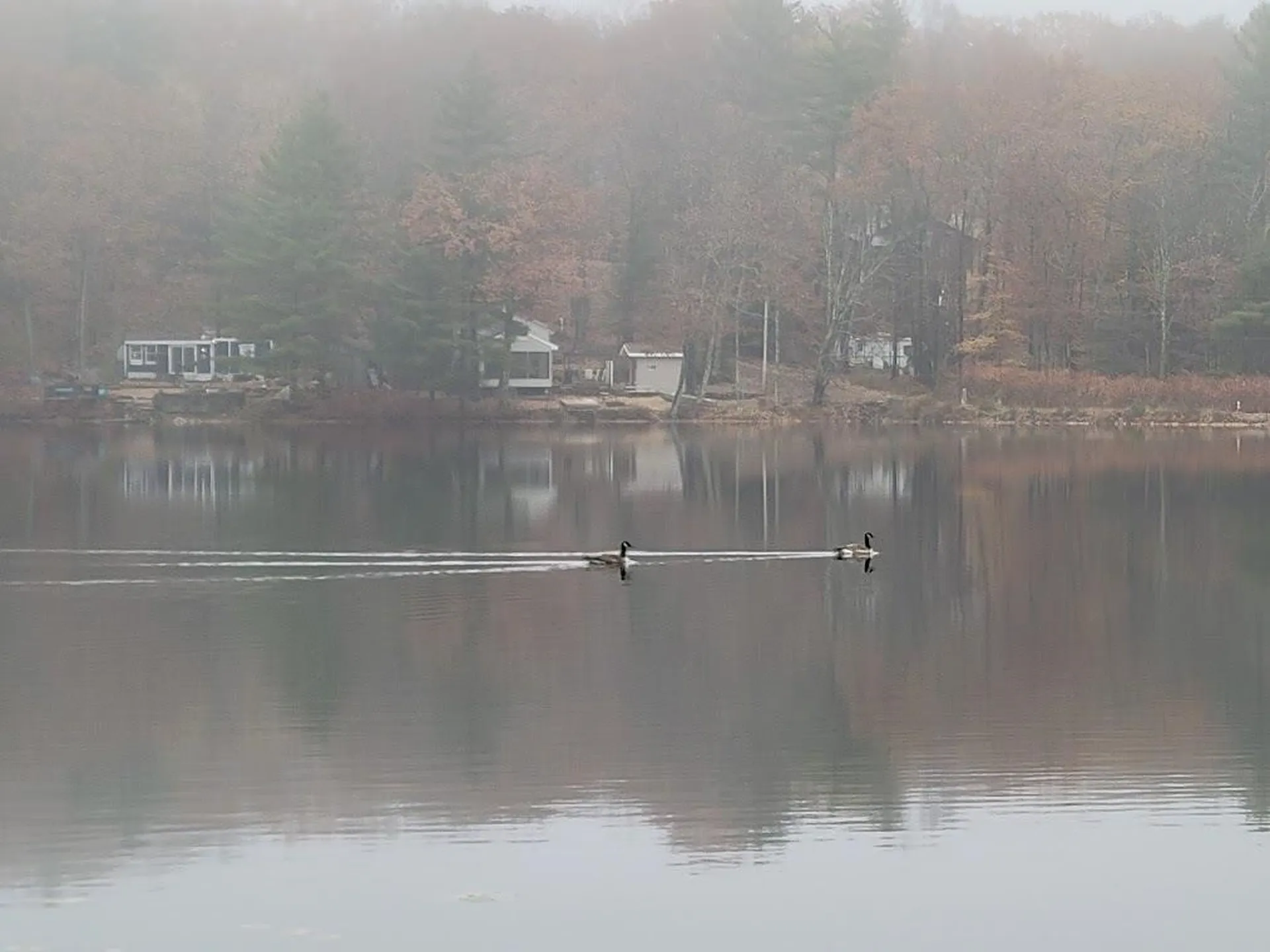 61 Canterbury Shore Drive Canterbury NH 03224