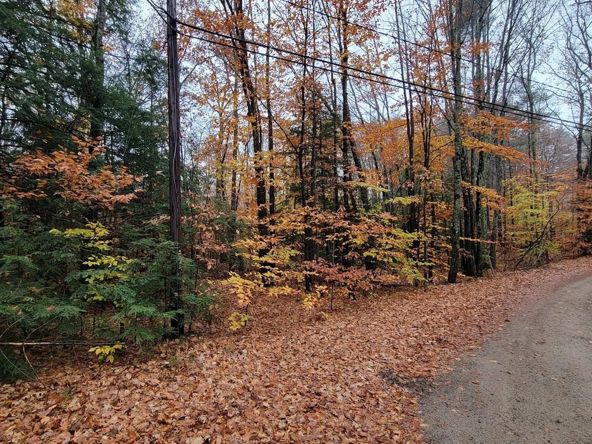 61 Canterbury Shore Drive Canterbury NH 03224