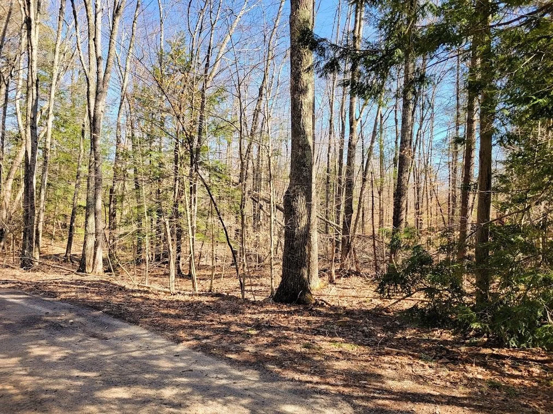 61 Canterbury Shore Drive Canterbury NH 03224