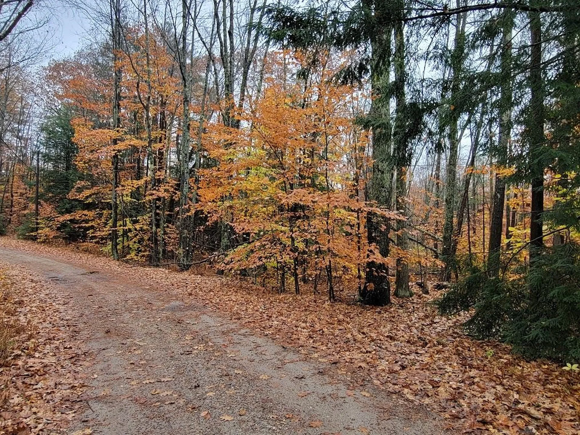 61 Canterbury Shore Drive Canterbury NH 03224