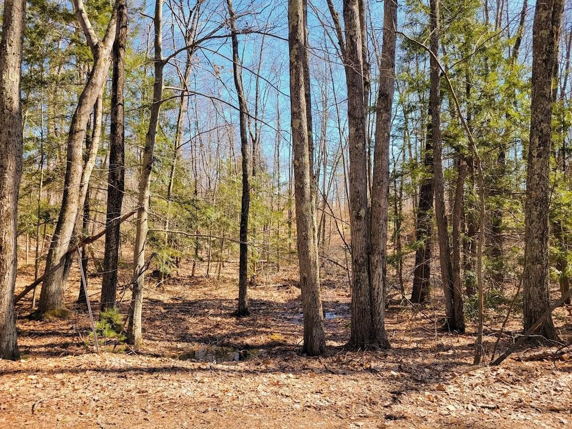 61 Canterbury Shore Drive Canterbury NH 03224