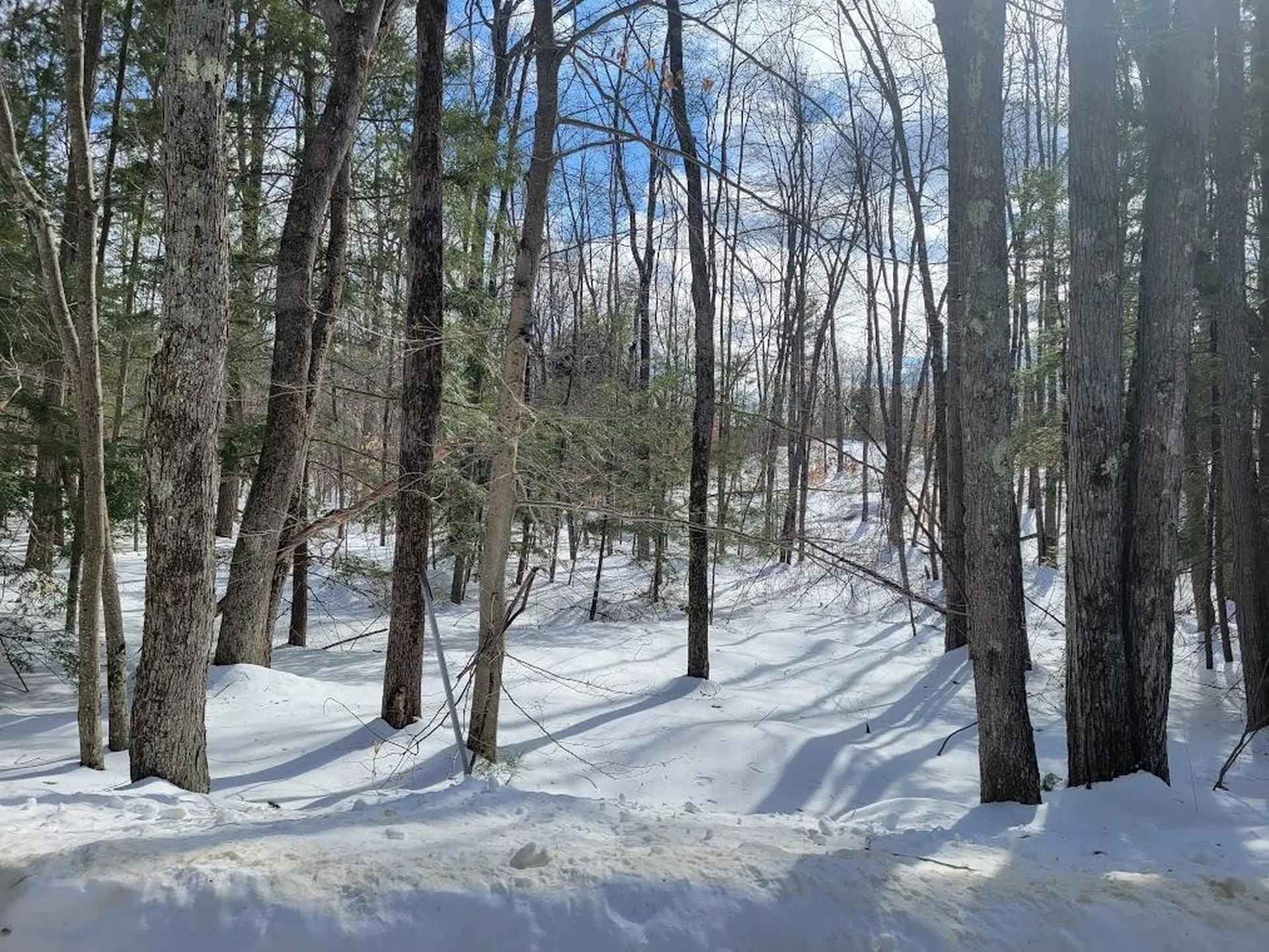 61 Canterbury Shore Drive Canterbury NH 03224