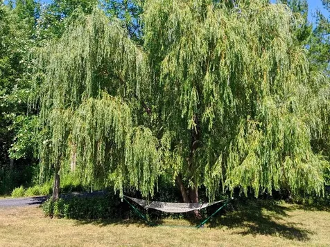 170 Wexford Lane Charlotte VT 05445