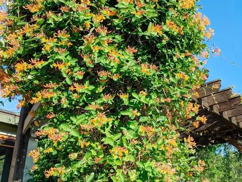 170 Wexford Lane Charlotte VT 05445