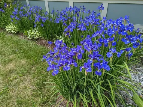 170 Wexford Lane Charlotte VT 05445