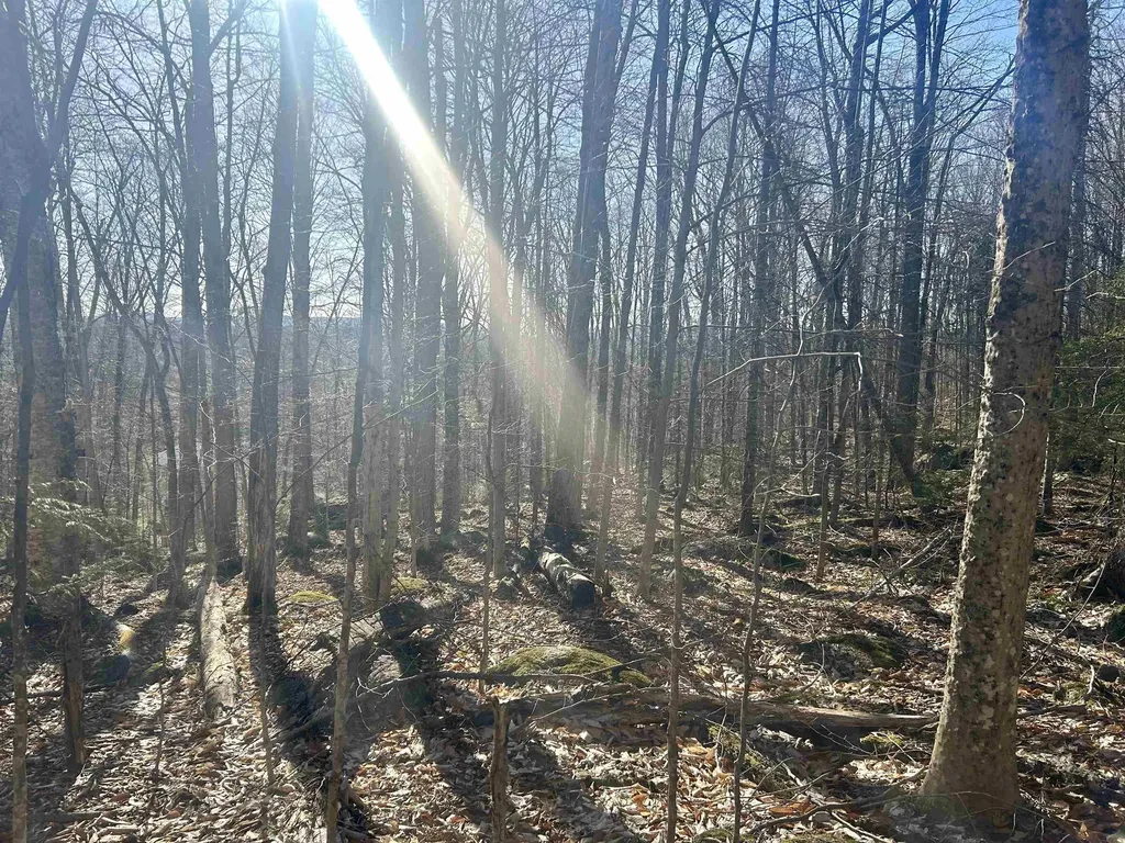 400 Road Round The Lake Grantham NH 03753