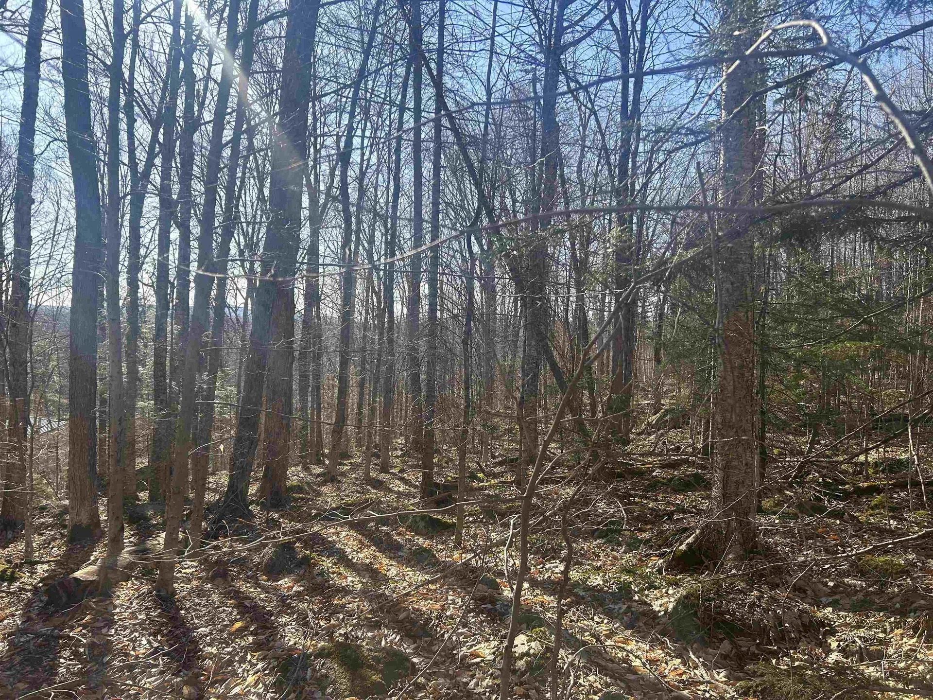 400 Road Round The Lake Grantham NH 03753