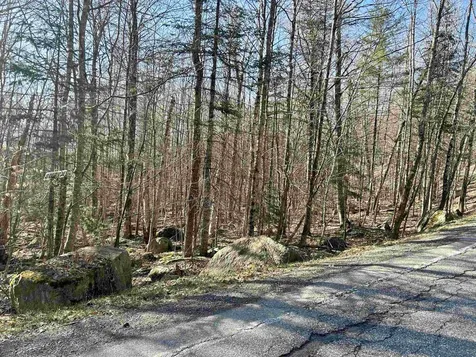 400 Road Round The Lake Grantham NH 03753