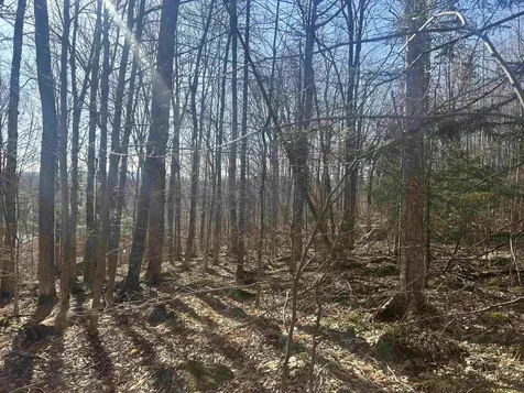 400 Road Round The Lake Grantham NH 03753