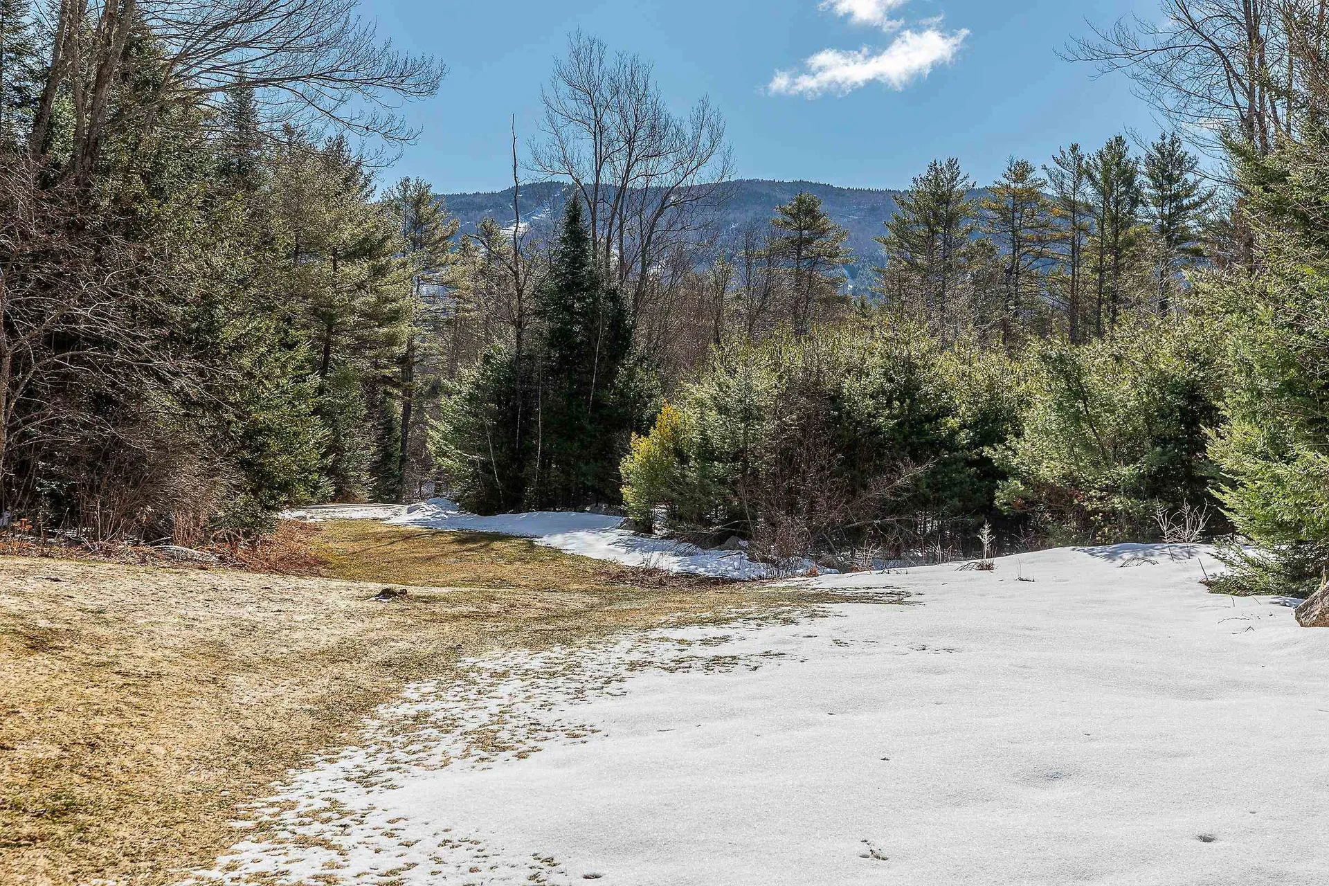 2513 Thompsonburg Road Londonderry VT 05155