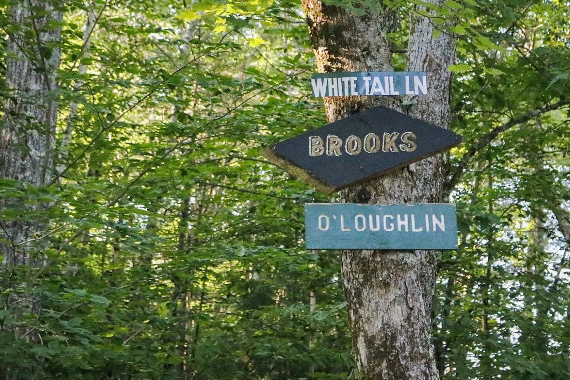 43 Whitetail Lane Fitzwilliam NH 03447