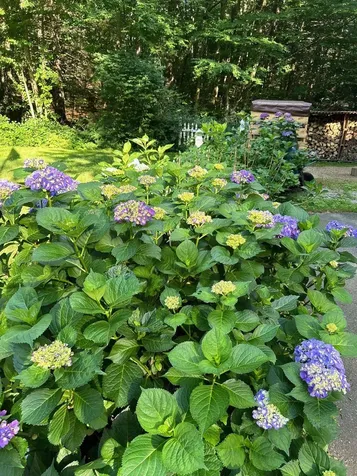 50 Wash Pond Road Hampstead NH 03841