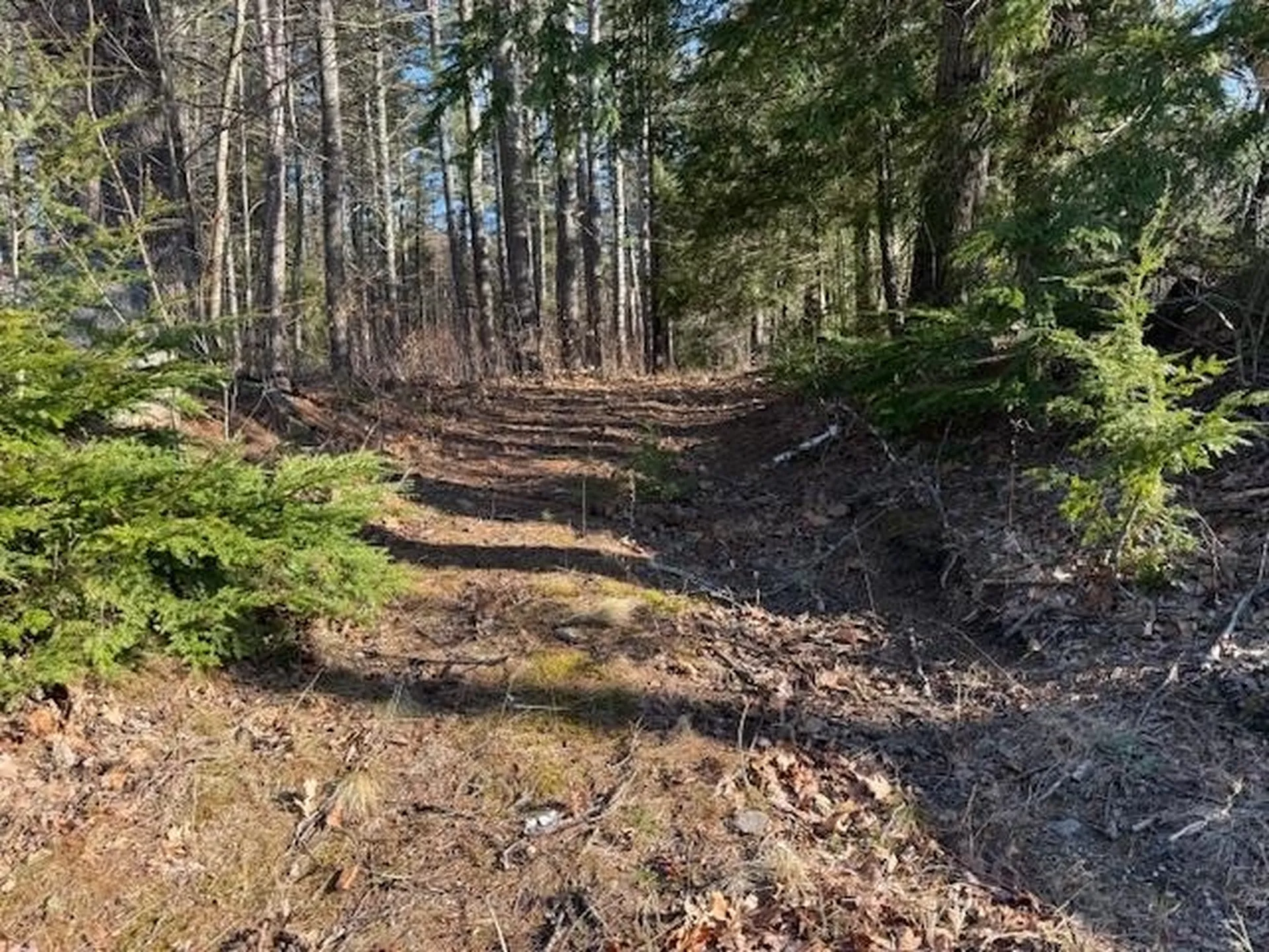 540 X 9 Route 114 Henniker NH 03242