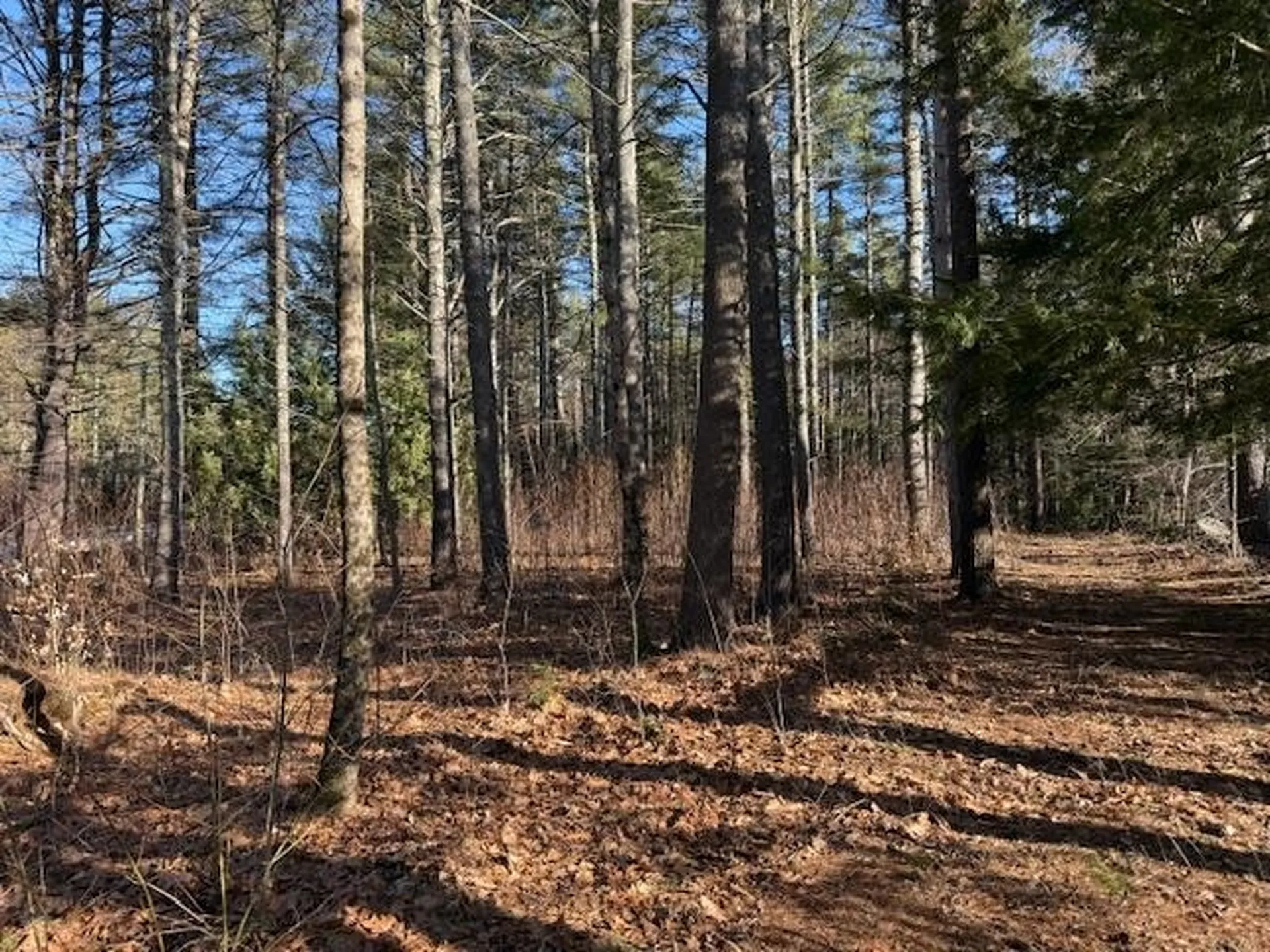 540 X 9 Route 114 Henniker NH 03242