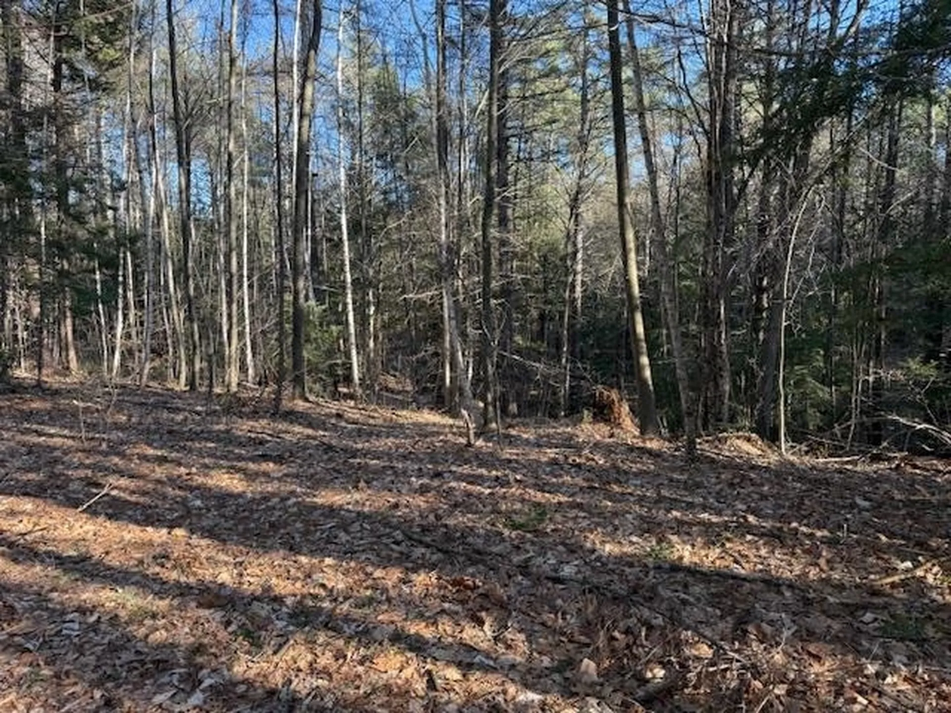 540 X 9 Route 114 Henniker NH 03242