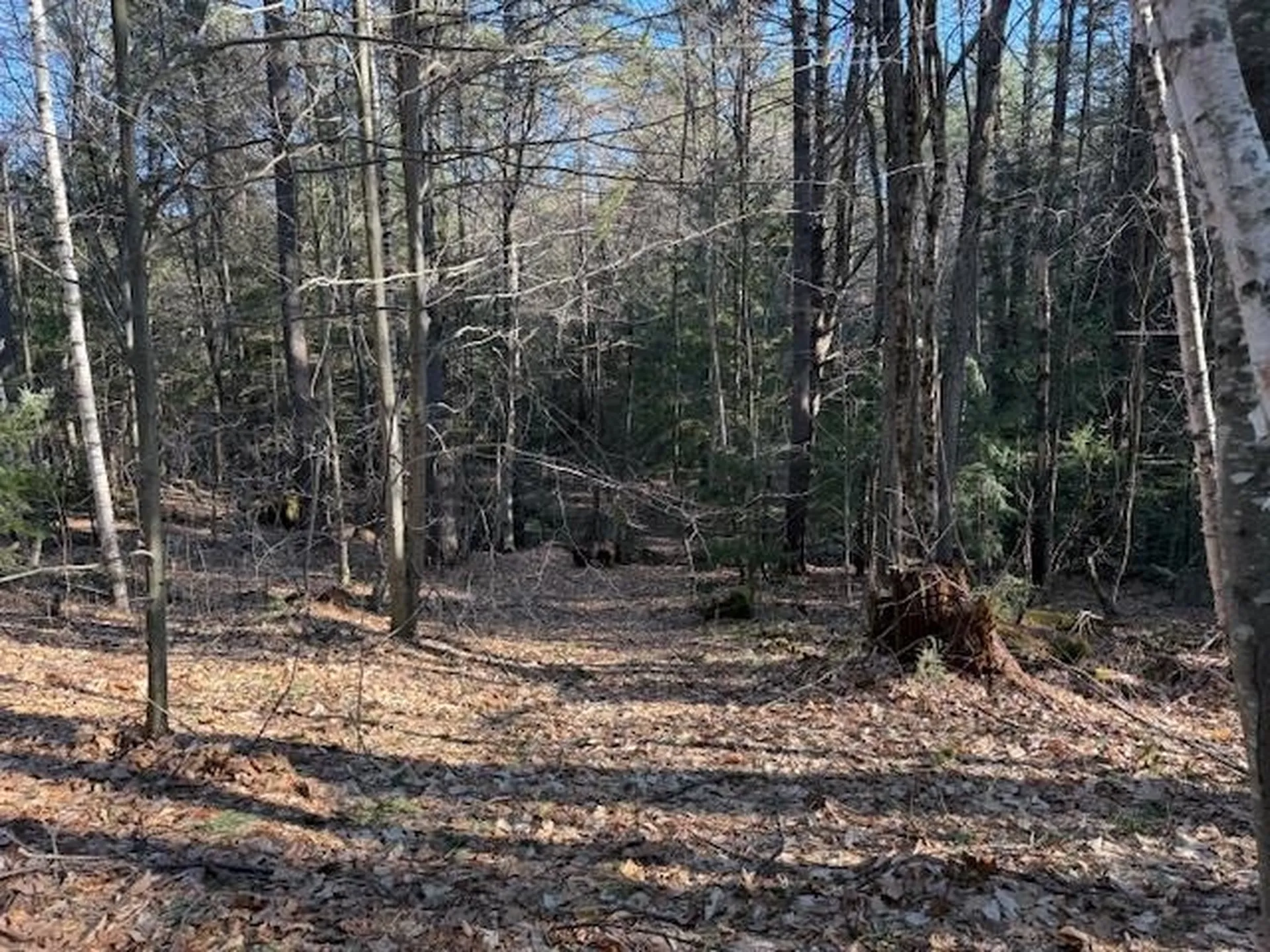 540 X 9 Route 114 Henniker NH 03242