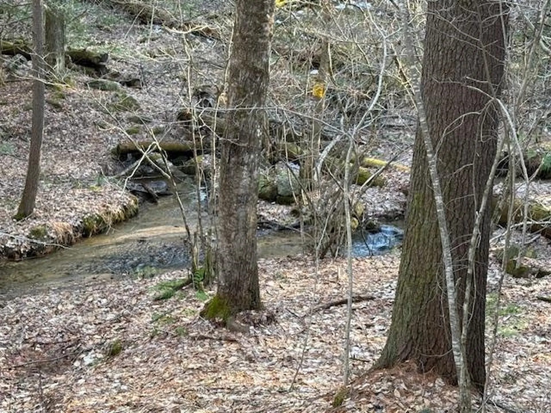 540 X 9 Route 114 Henniker NH 03242