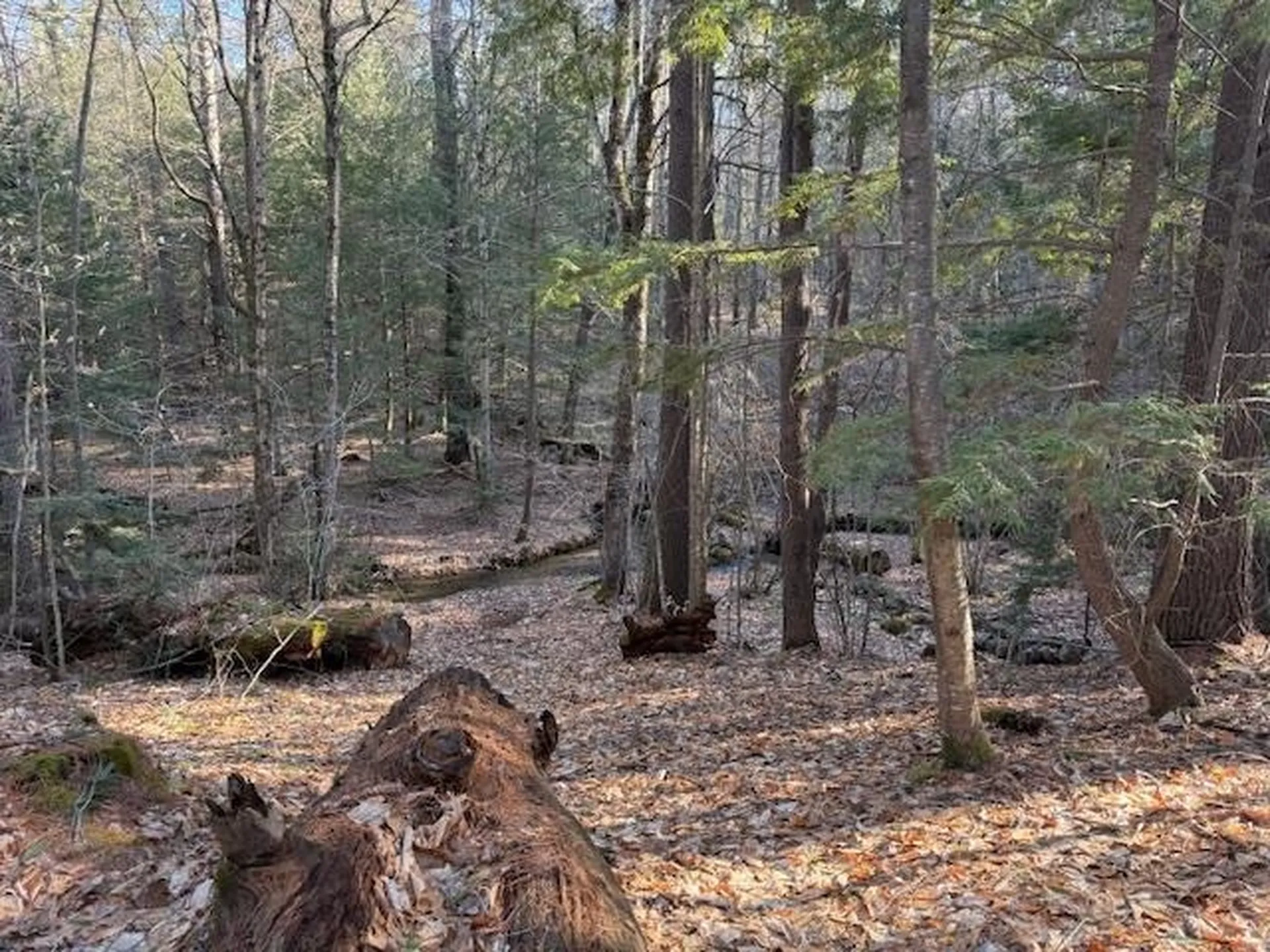 540 X 9 Route 114 Henniker NH 03242