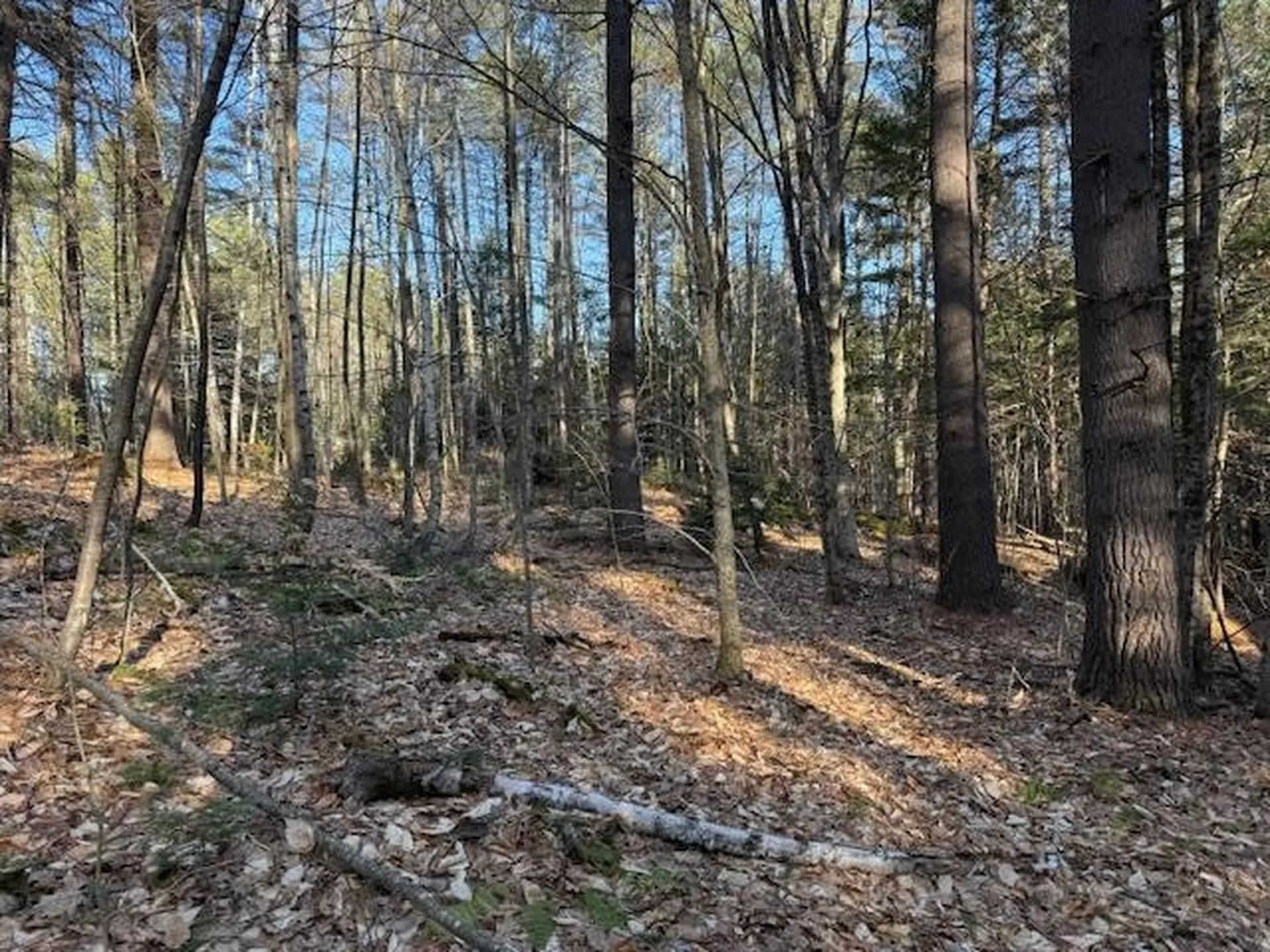 540 X 9 Route 114 Henniker NH 03242