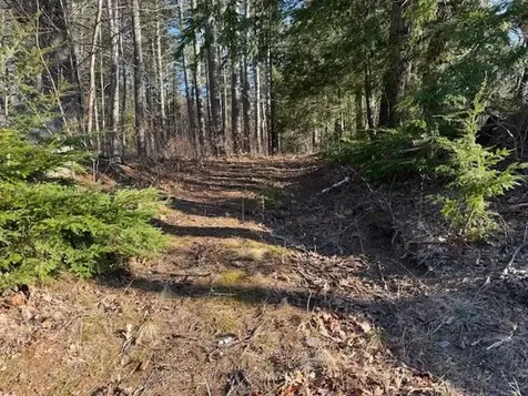 540 X 9 Route 114 Henniker NH 03242