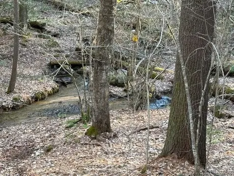 540 X 9 Route 114 Henniker NH 03242