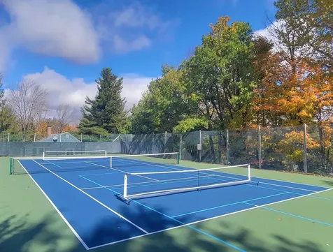 5 Black Bear Lane Dover VT 05356