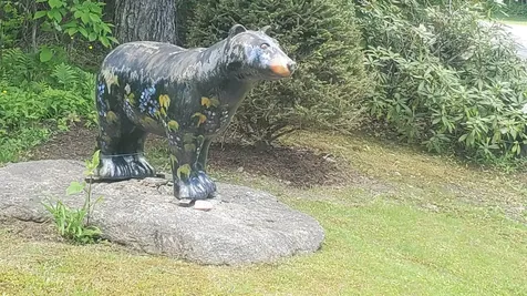 5 Black Bear Lane Dover VT 05356