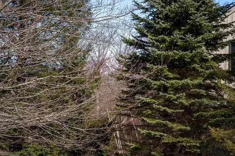 3 Stratton Ridge Road Winhall VT 05340