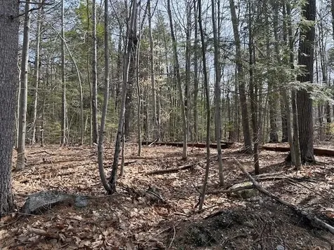 88 Normas Lane Wolfeboro NH 03894
