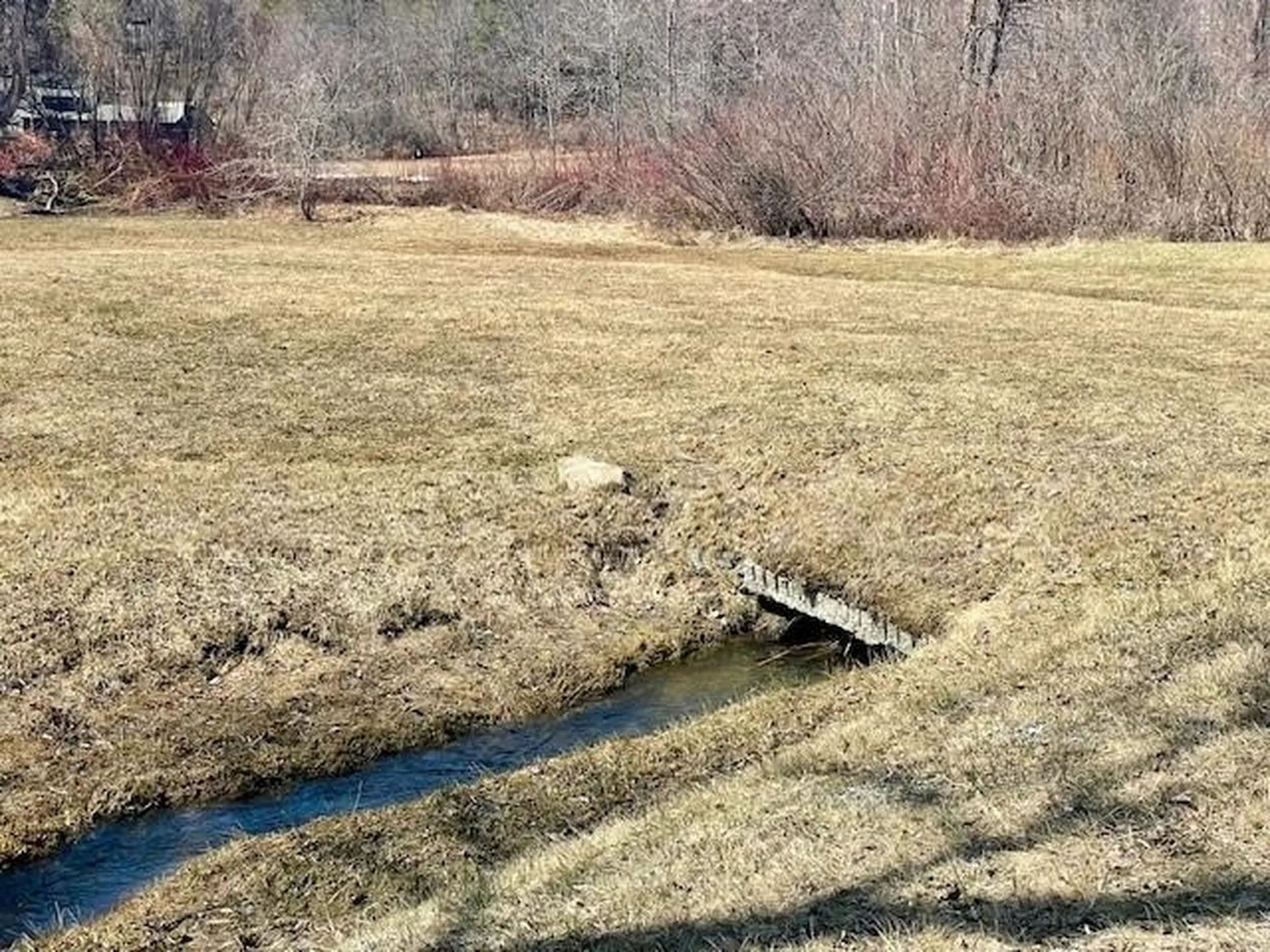 1054 West Woodstock Road Woodstock VT 05091