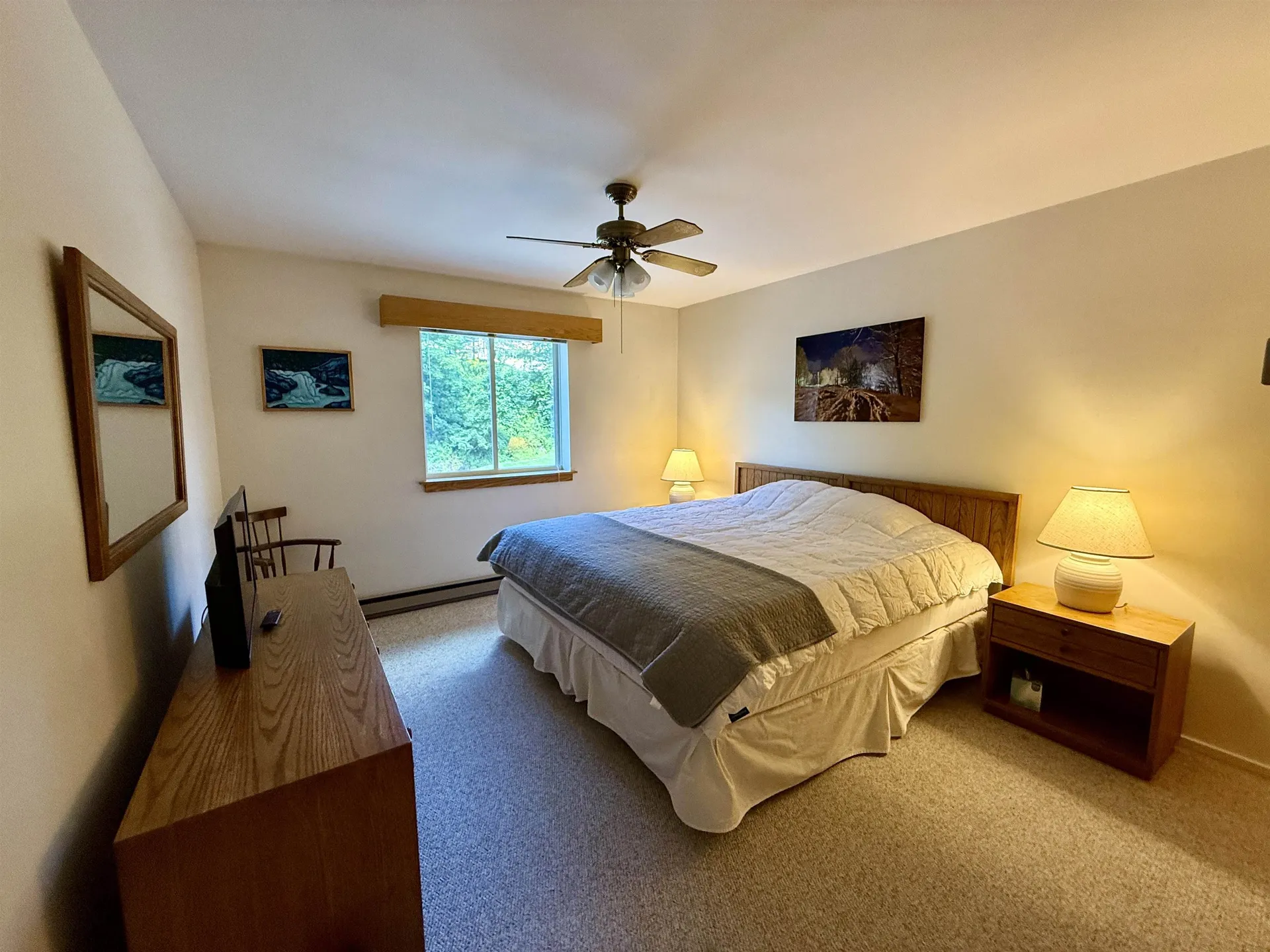 161 Mountainside Drive Warren VT 05674