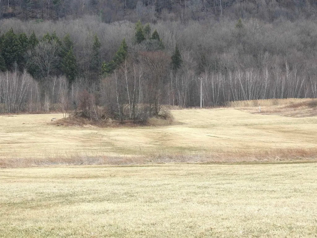 2140 Sheldon Road Swanton VT 05488