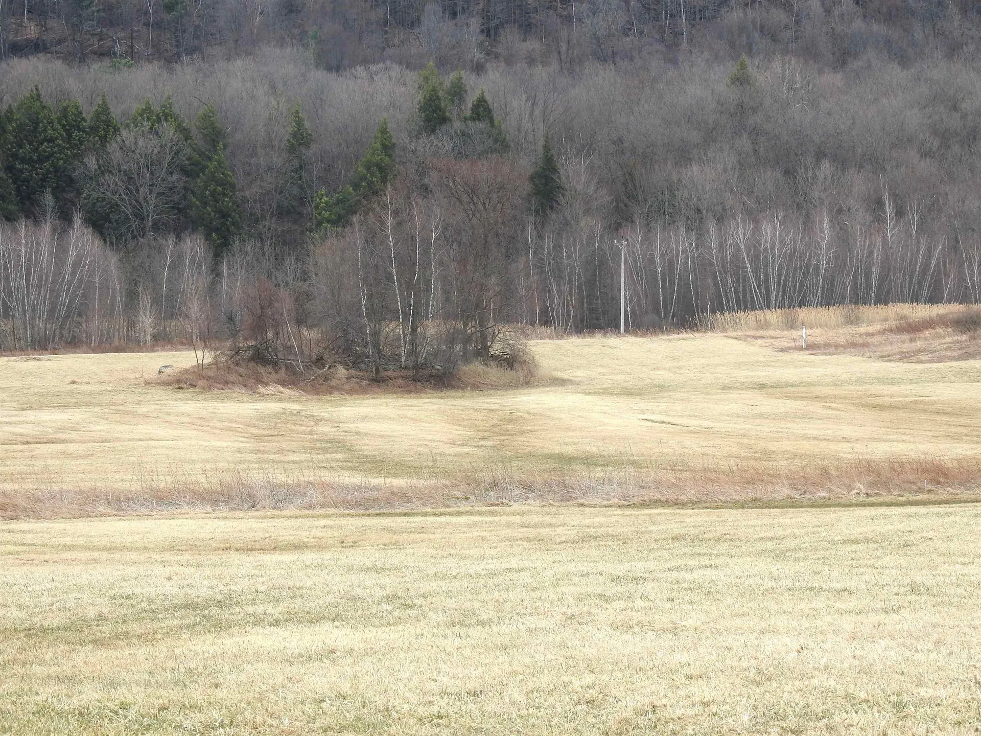 2140 Sheldon Road Swanton VT 05488